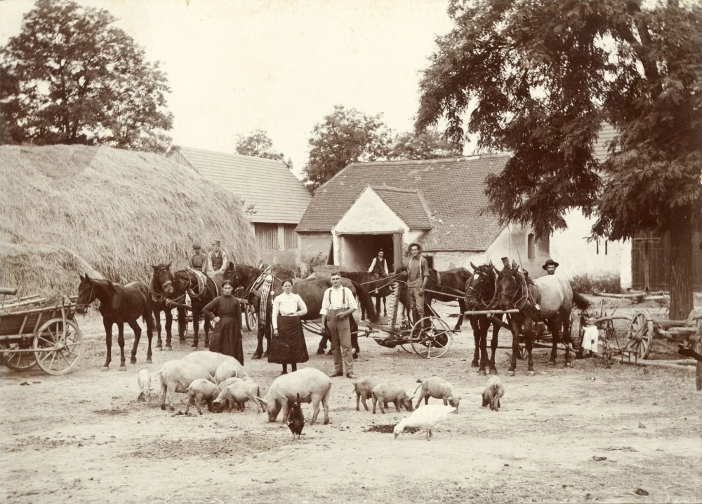 farmyard_turanský